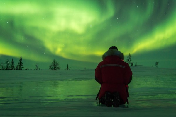 aurora borealis during wildlife safari