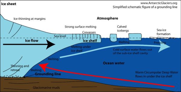 antarctic glaciers diagram of life cycle