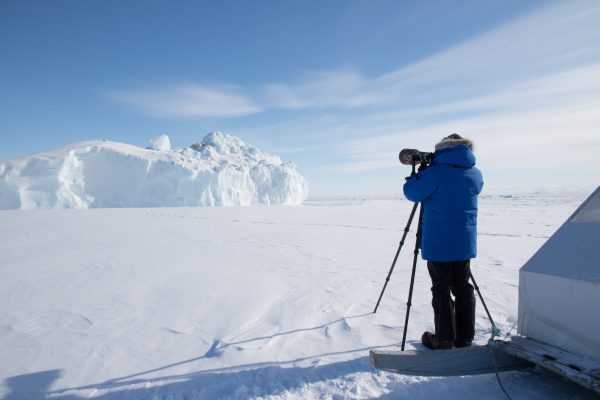 Arctic Kingdom Qik Polar bear iceberg wildlife photography 