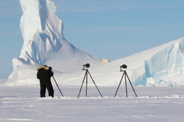 photgraphing a polar bear in the arctic ice