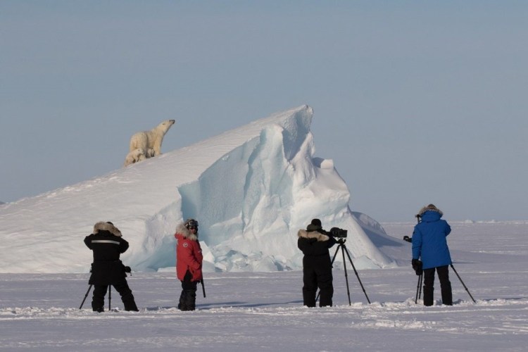Arctic photographers