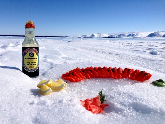 Inuit delicacies in the Arctic