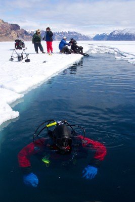 Arctic floe edge diving