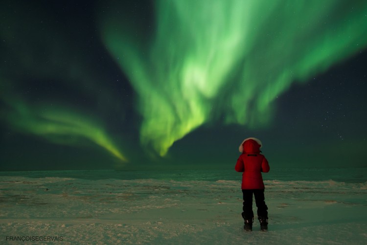 Arctic Kingdom trips to Arviat