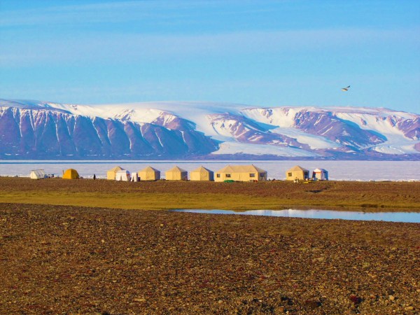 Arctic Safari camp. Yurts. Beach. Snowy Mountains.