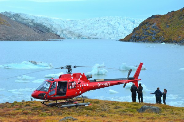 Experience The Arctic On A Safari