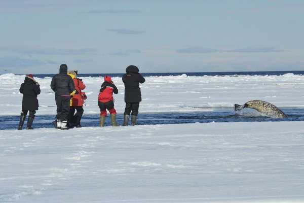 Photographers at the Arctic floe edge