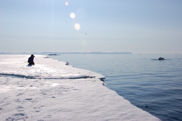 Photographer at floe edge taking picture of a whale