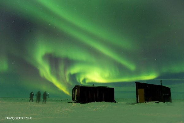 Northern lights during polar bear migration fly-in