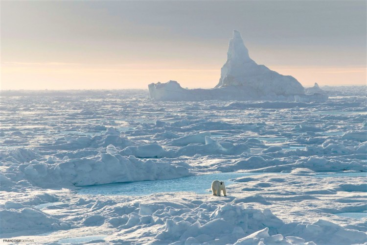 Arctic landscape