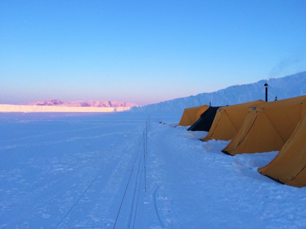 electric bear fence for arctic camping