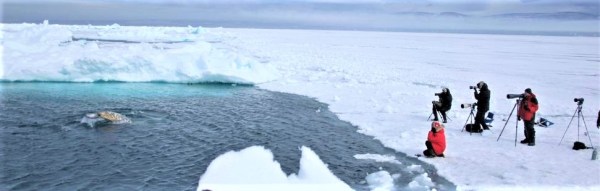 Arctic Kingdom - Our Exclusive Floe Edge Location