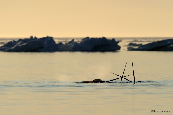 Eastern Gateway of the Northwest Passage