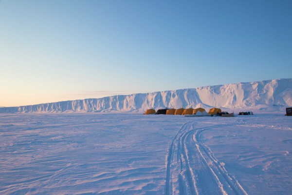 arctic spring safari