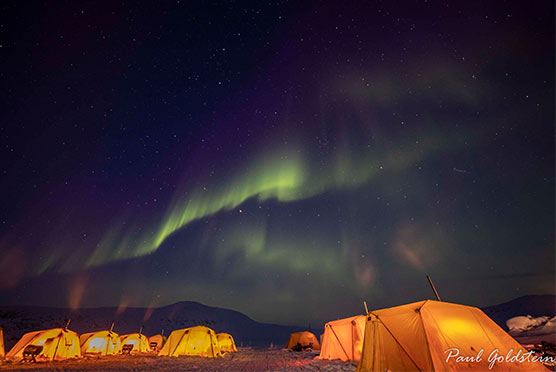 Northern lights above arctic safari camp