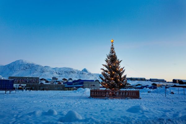 Christmas tree in the arctic