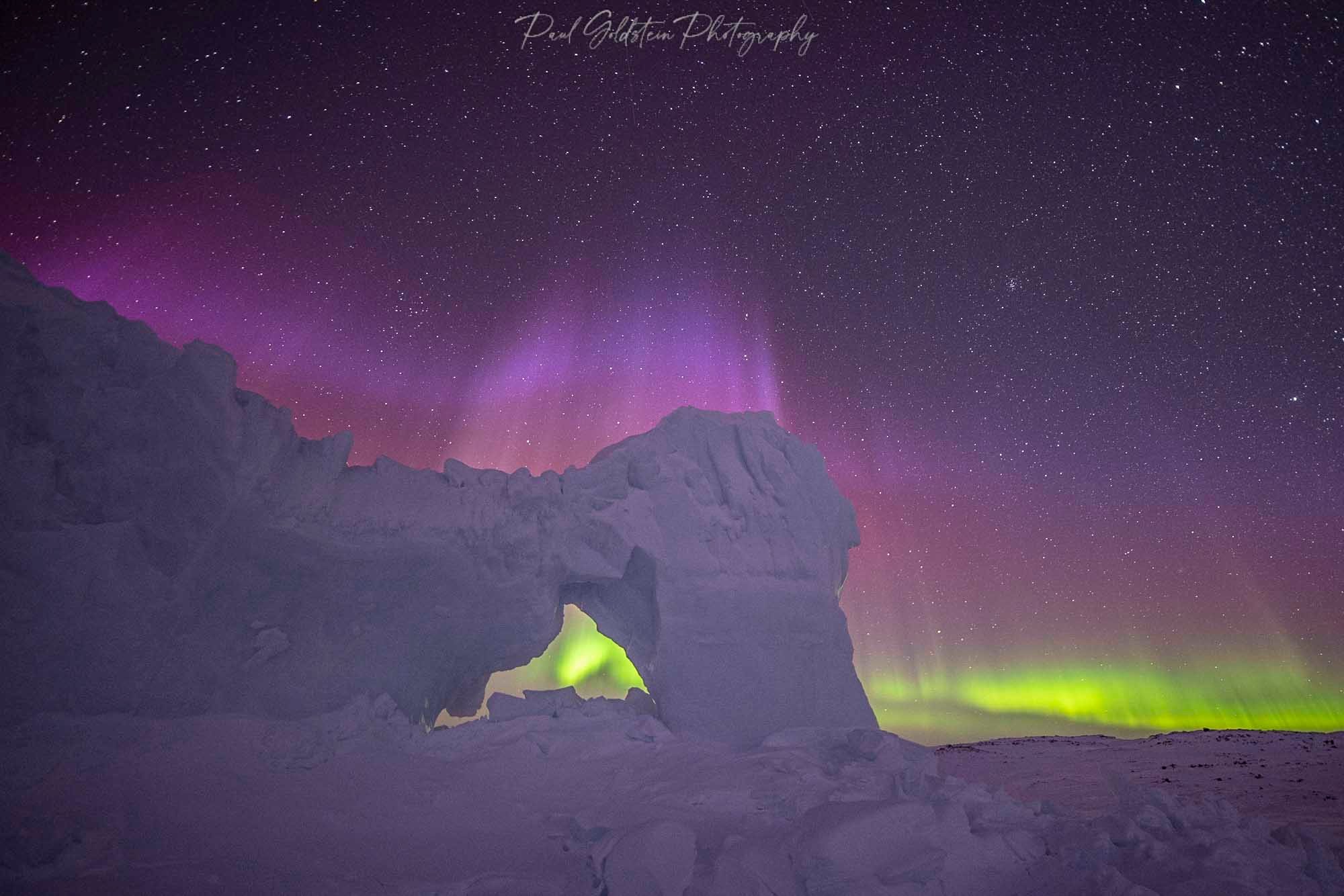 Spring Polar Bears & Icebergs - T 10 - Paul Goldstein -  Arctic Kingdom - Polar Bears - Arctic Wildlife9-2