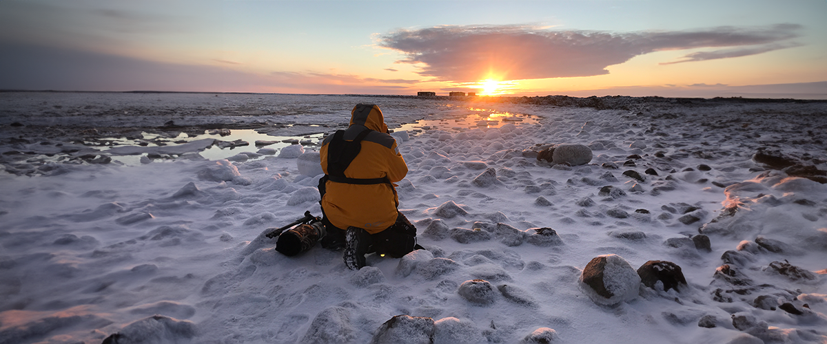 Churchill Polar Bear Tours