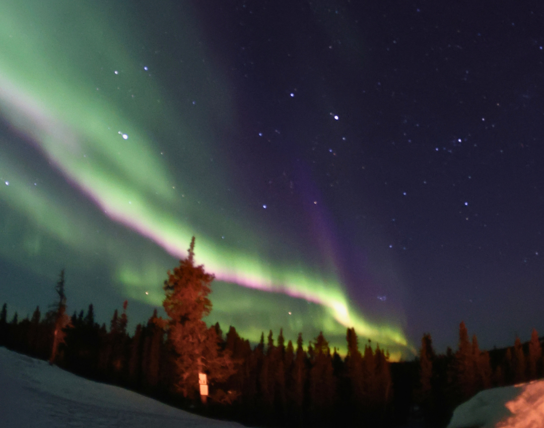 Winter Aurora