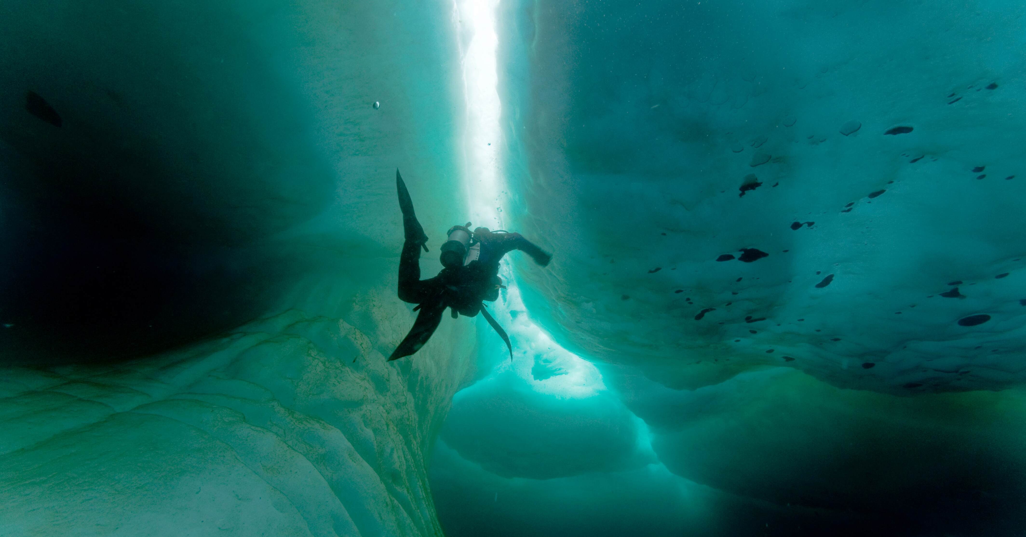 Baffin Island Dive Safari