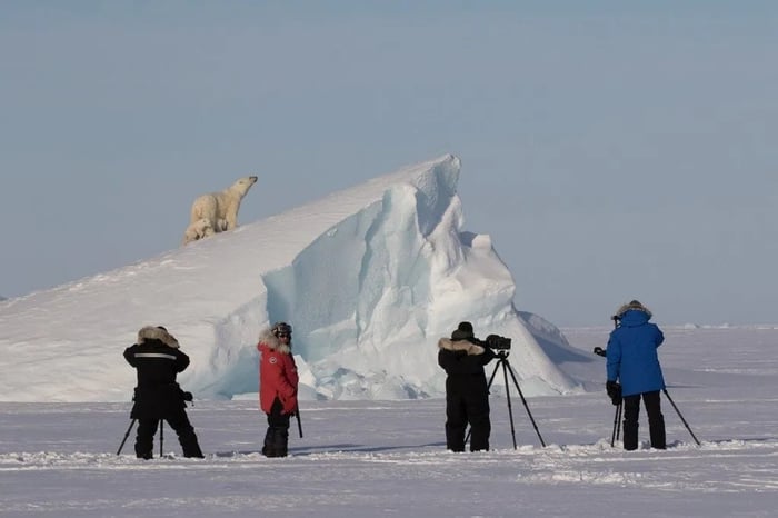scientists in the arctic