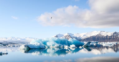 image of the arctic