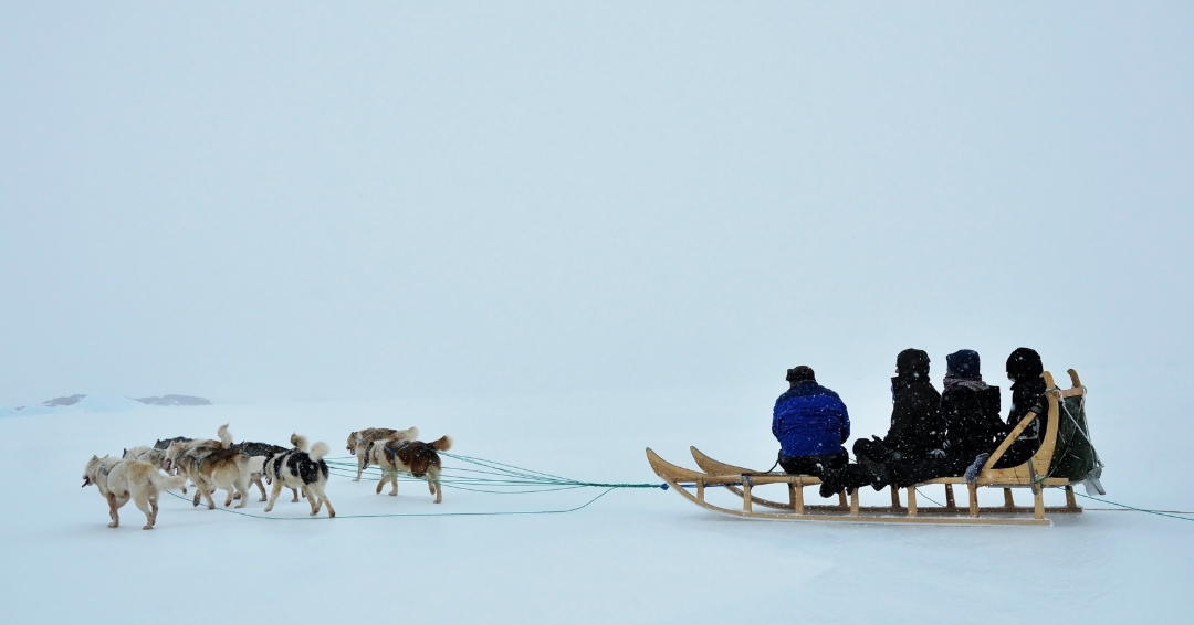 a group of people being pulled by a sled of dogs in the Arctic